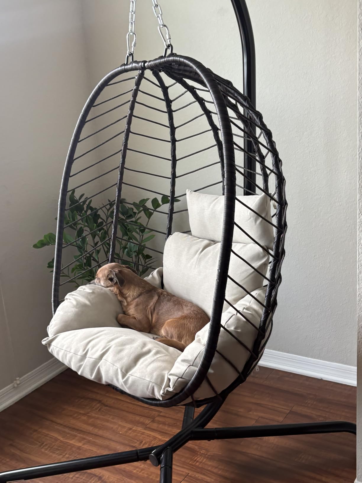 ALAULM Foldable Egg Chair with Stand, 485LBS Capacity Wicker Rattan Hammock Swing Chair for Outdoor & Indoor, Hanging Chair with Strong Frame & UV Resistant Cushion for Balcony, Bedroom, Cream customer photo 2