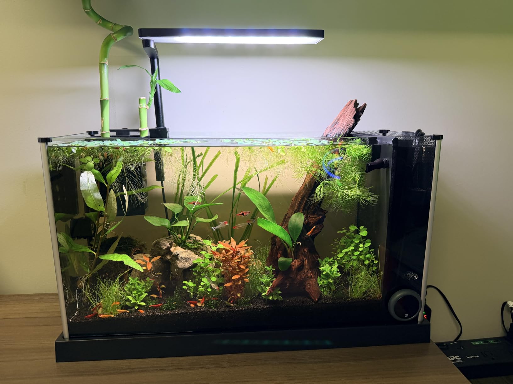 FZONE Solo Series Nano LED Aquarium Marine Reef Light, Smart App-Controlled and Dimmable, for Rimmless Saltwater and Reef Coral Tanks customer photo 2