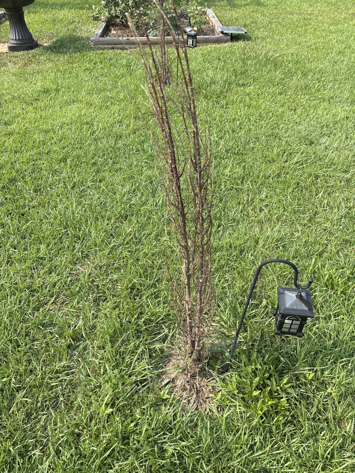 EBaokuup Zip A Tree Plant Covers Freeze Protection, 90
