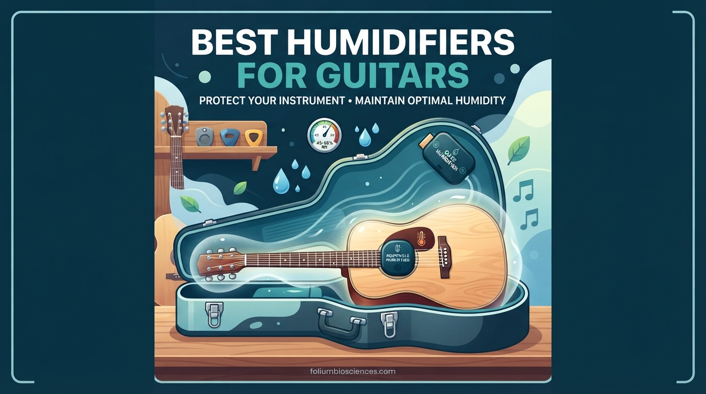 Best Humidifiers for Guitars