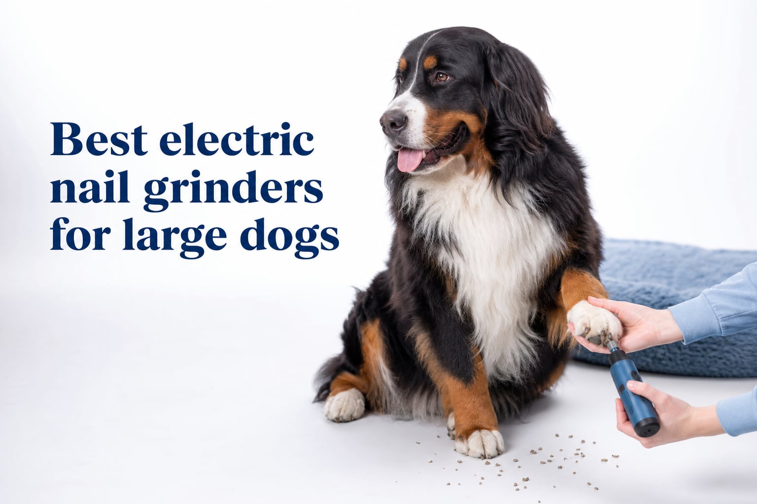 Best electric nail grinders for large dogs