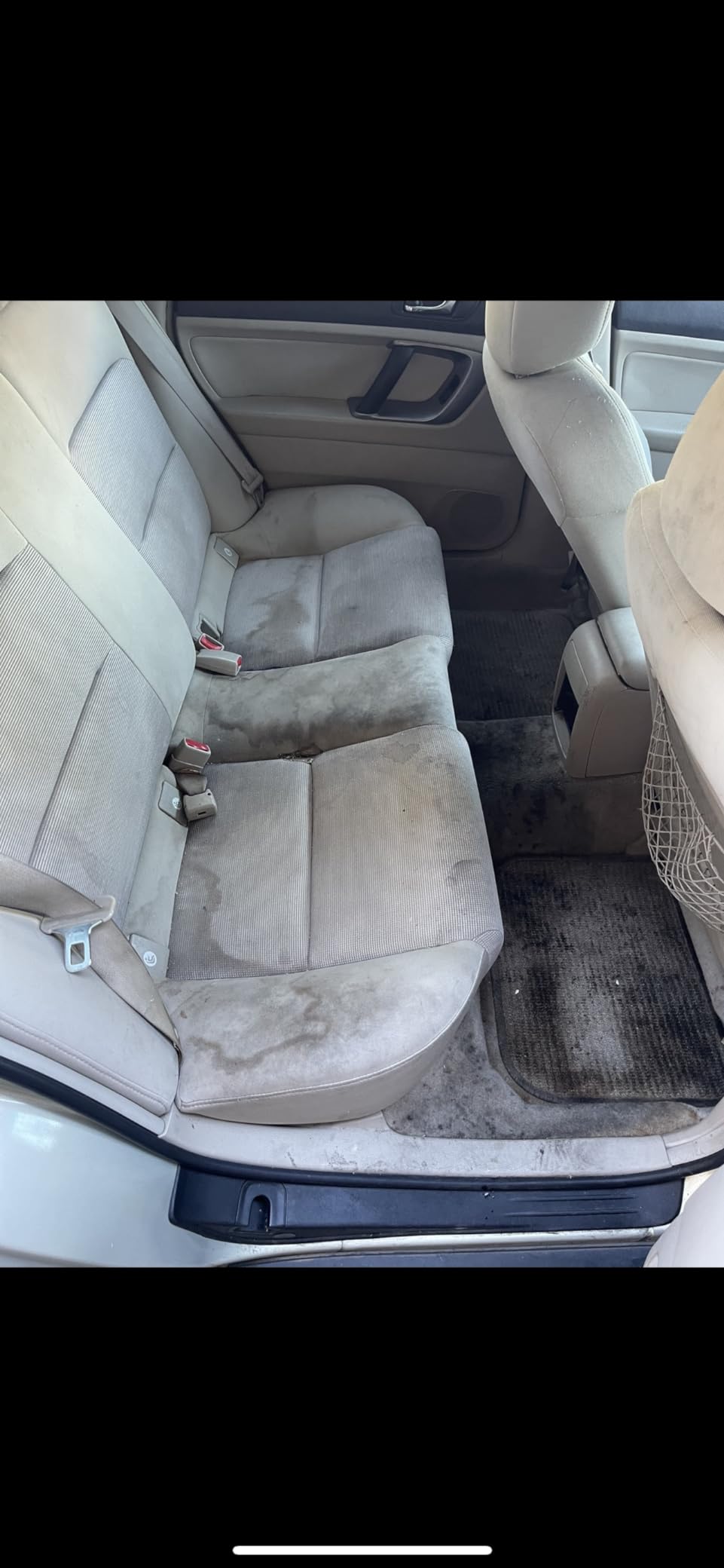 3D Upholstery & Carpet Shampoo - High Foam Stain Remover & Odor Eliminator Shampoo 1 Gallon customer photo 1