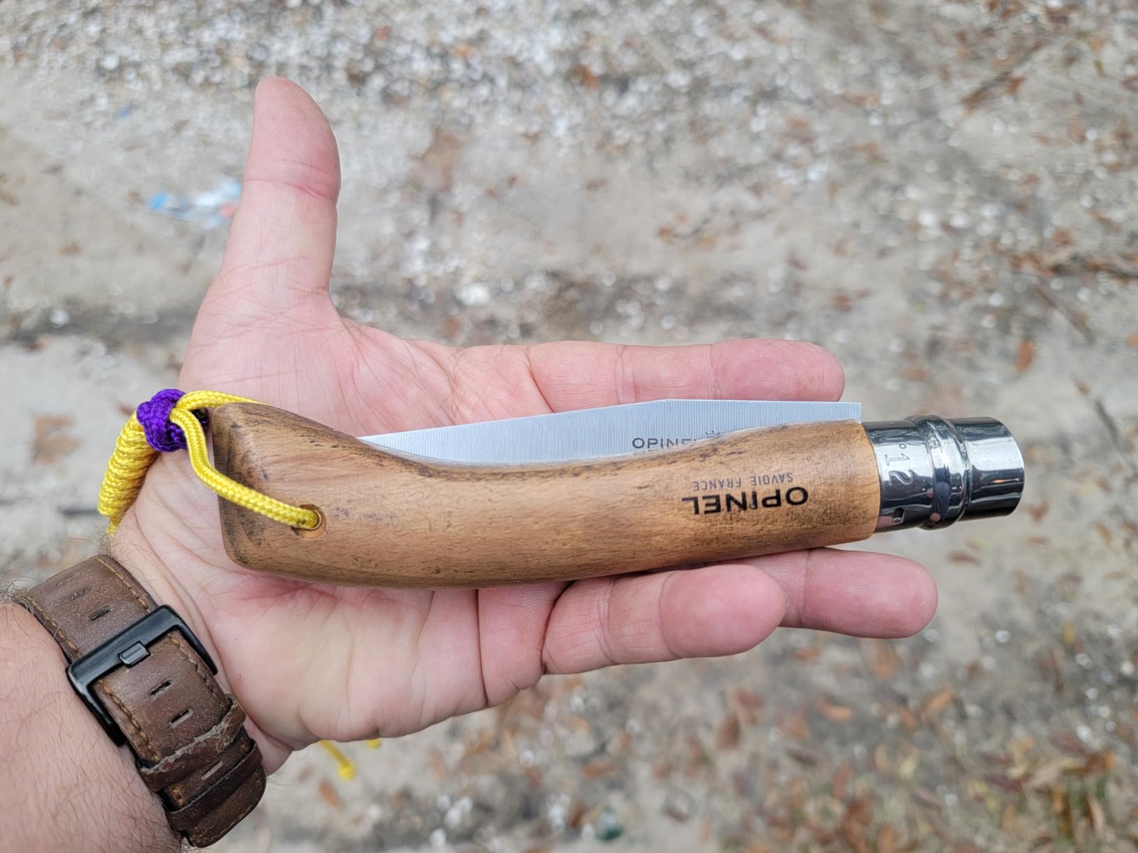 Opinel Folding Saw - Gardening and Camping Folding Carbon Steel Saw with Beechwood Handle customer photo 1