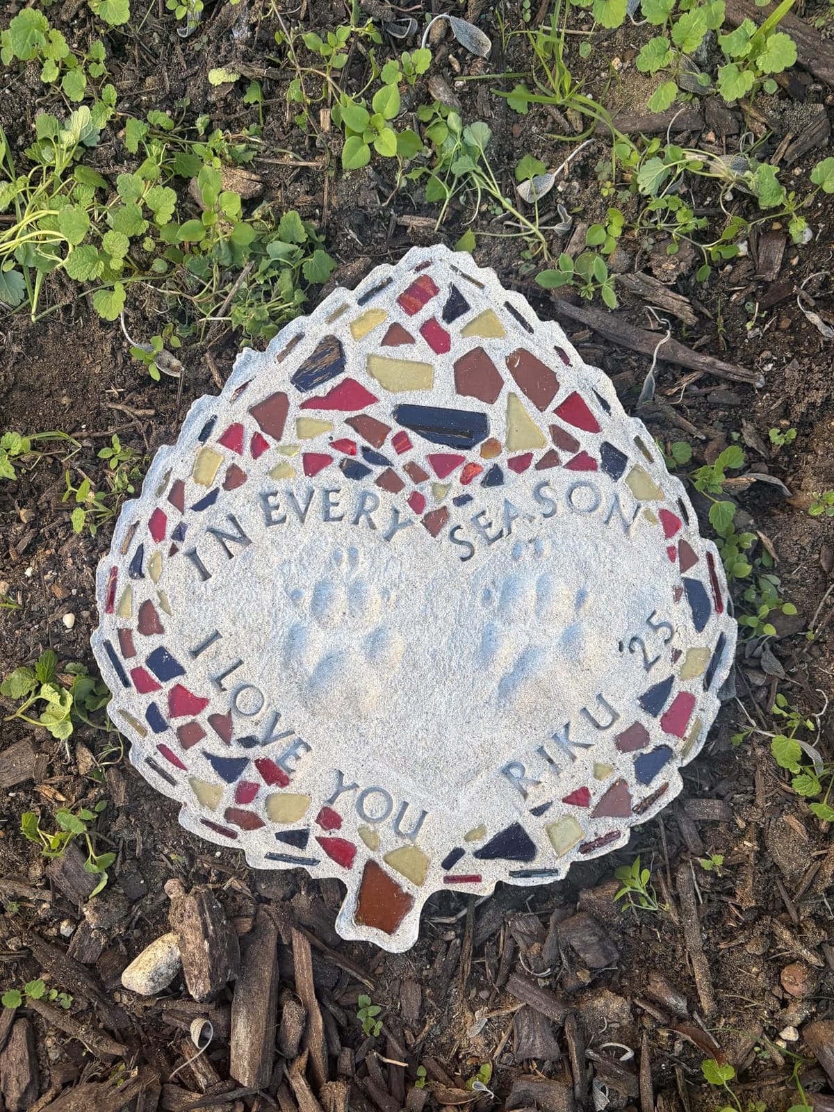 Mosaic Stepping Stone Kit, Leaf customer photo 1