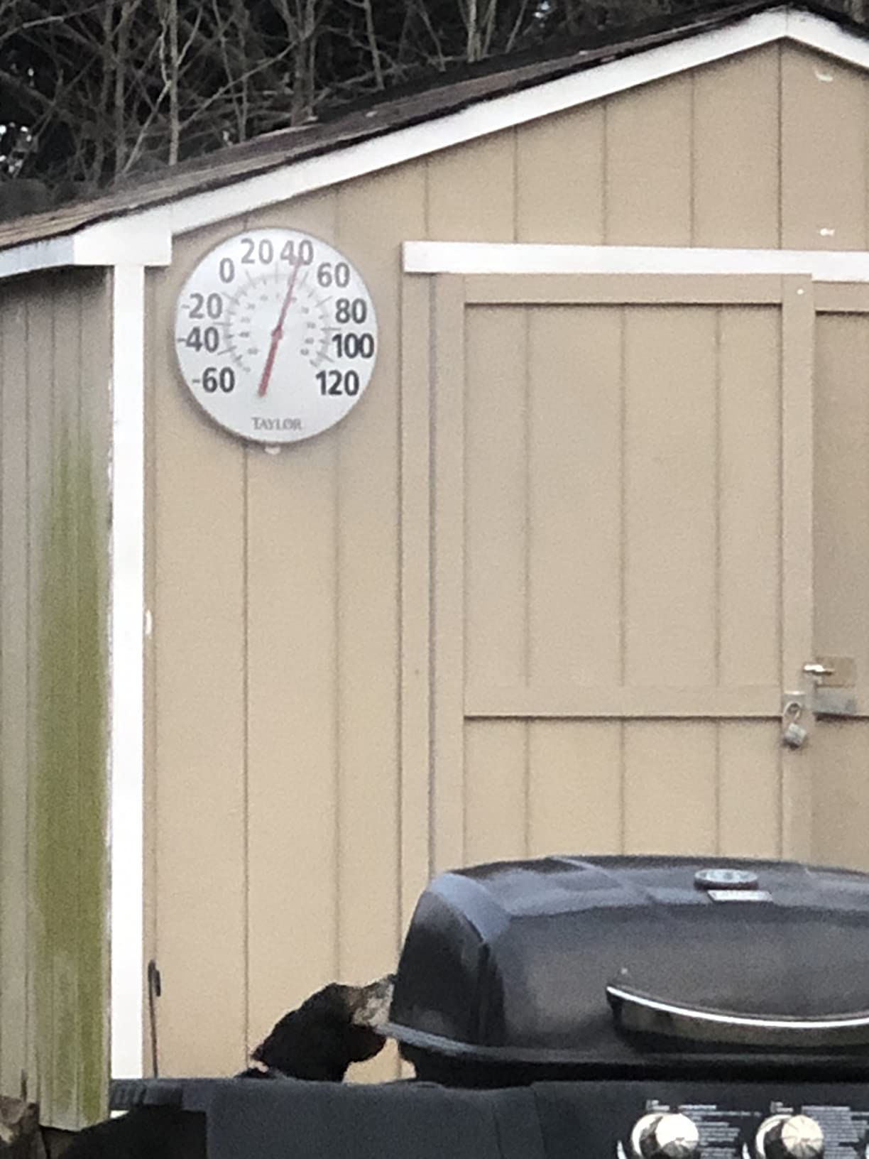 Taylor Extra Large Metal Wall Indoor Outdoor Thermometer, Easy to Read Numbers for Patio, Pool, and Indoor Areas, 18 inch, White customer photo 2