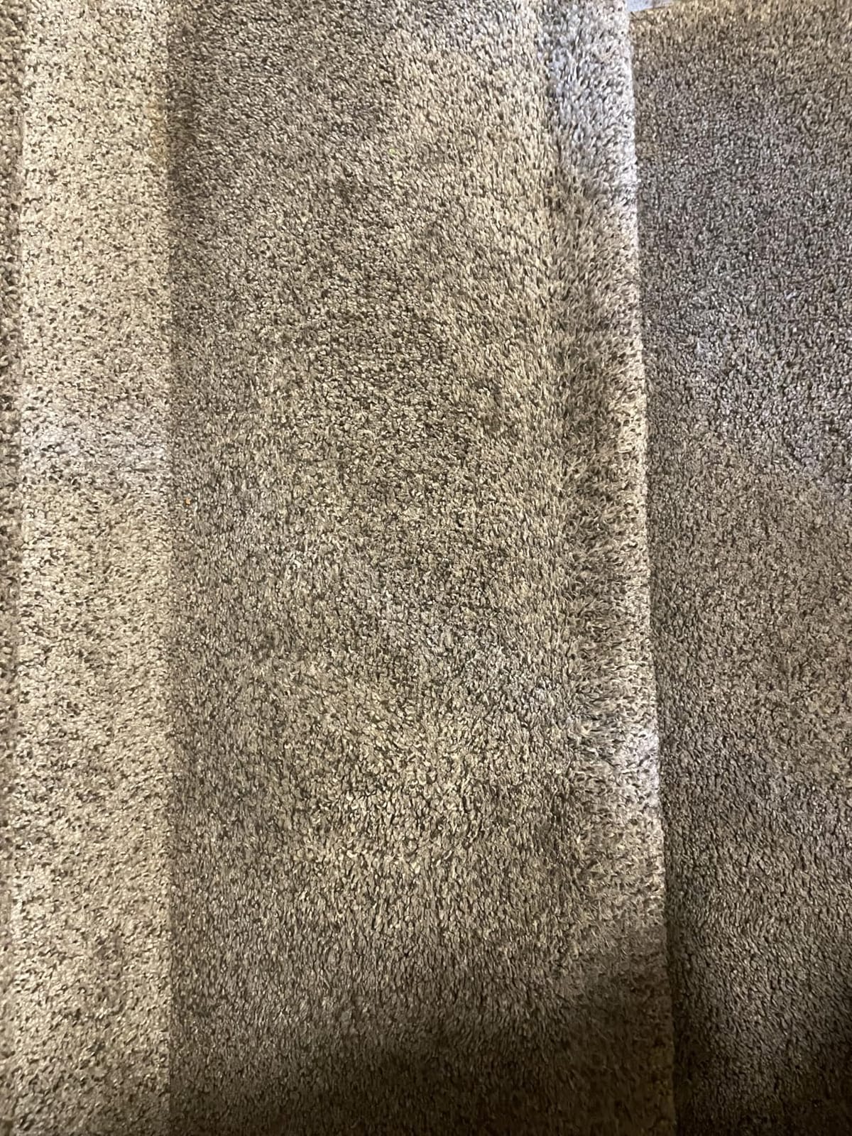 Zep All-Purpose Carpet Shampoo Concentrate Cleaner - 1 Gallon - ZUCEC128 - Professional Formula Removes Dirt and Stains customer photo 1