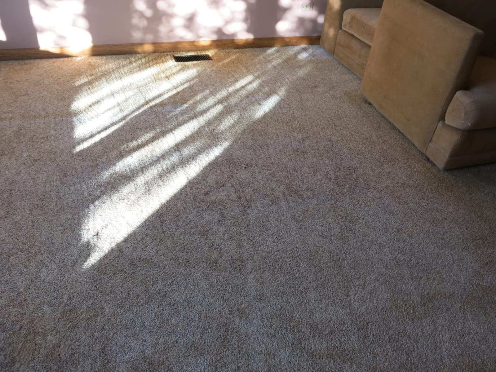 Zep All-Purpose Carpet Shampoo Concentrate Cleaner - 1 Gallon - ZUCEC128 - Professional Formula Removes Dirt and Stains customer photo 2