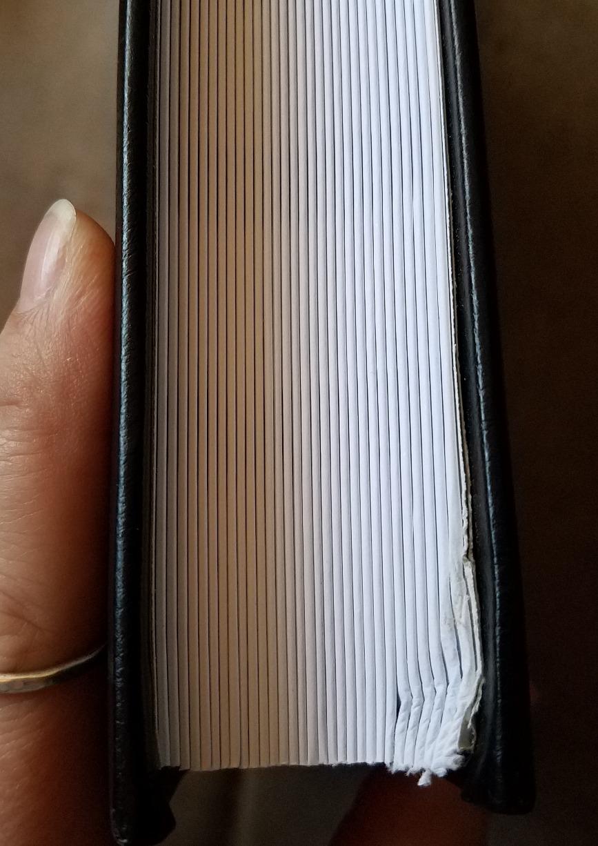 Prophila stockbook Stamp Album (New) 60 White Sides, Black Cover customer photo 1