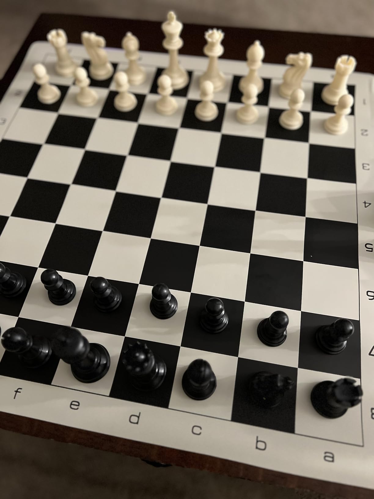 WE Games Best Value Tournament Chess Set - Includes 34 Chess Pieces, Roll Up Vinyl Chess Board, Chess Pieces, Chess Bag and Equalizer Dice customer photo 1