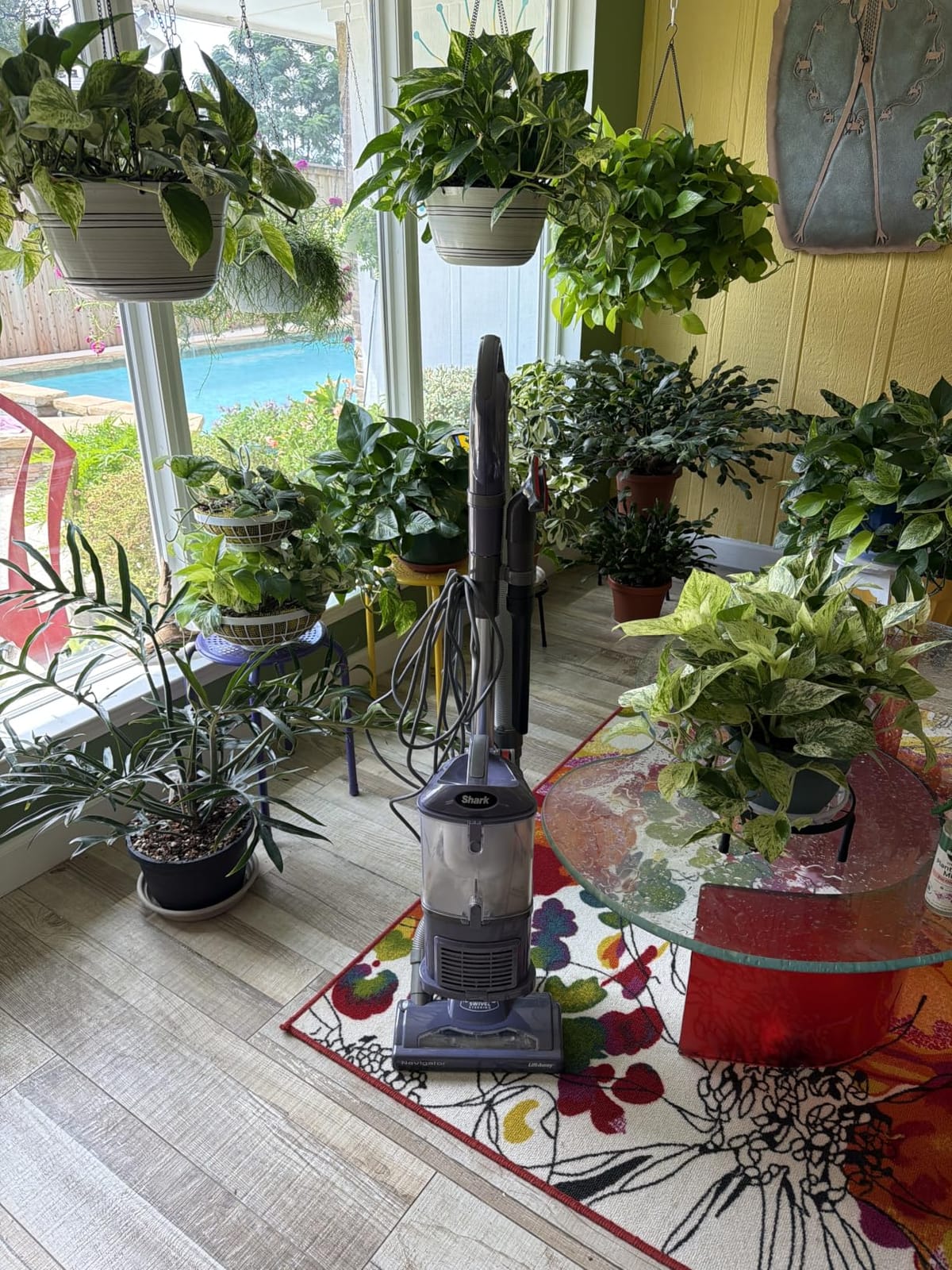 Shark Navigator Lift-Away Upright Vacuum, HEPA, Pet Hair, Lavender, NV352 customer photo 2
