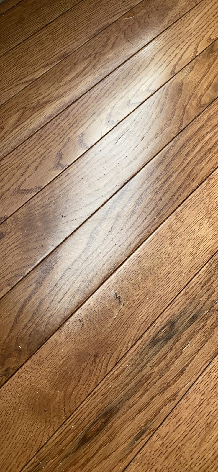 ATTITUDE Floor Cleaner, EWG Verified, Streak-Free, Vegan & Plant-Based for Tile, Wood & Laminate Floors, Citrus Zest Scent, 35.2 Fl Oz customer photo 1