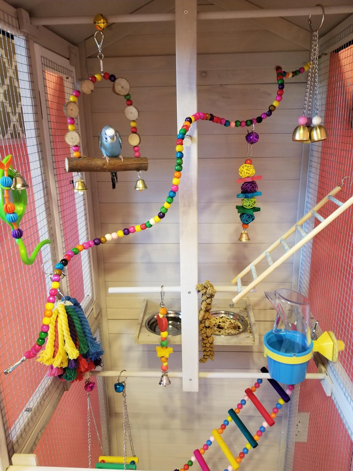 Trixie Outdoor Bird Aviary, 71-in Wooden Birdcage, 2 Perches, Ideal for Small Birds, Finches, Brown, (55951) customer photo 2