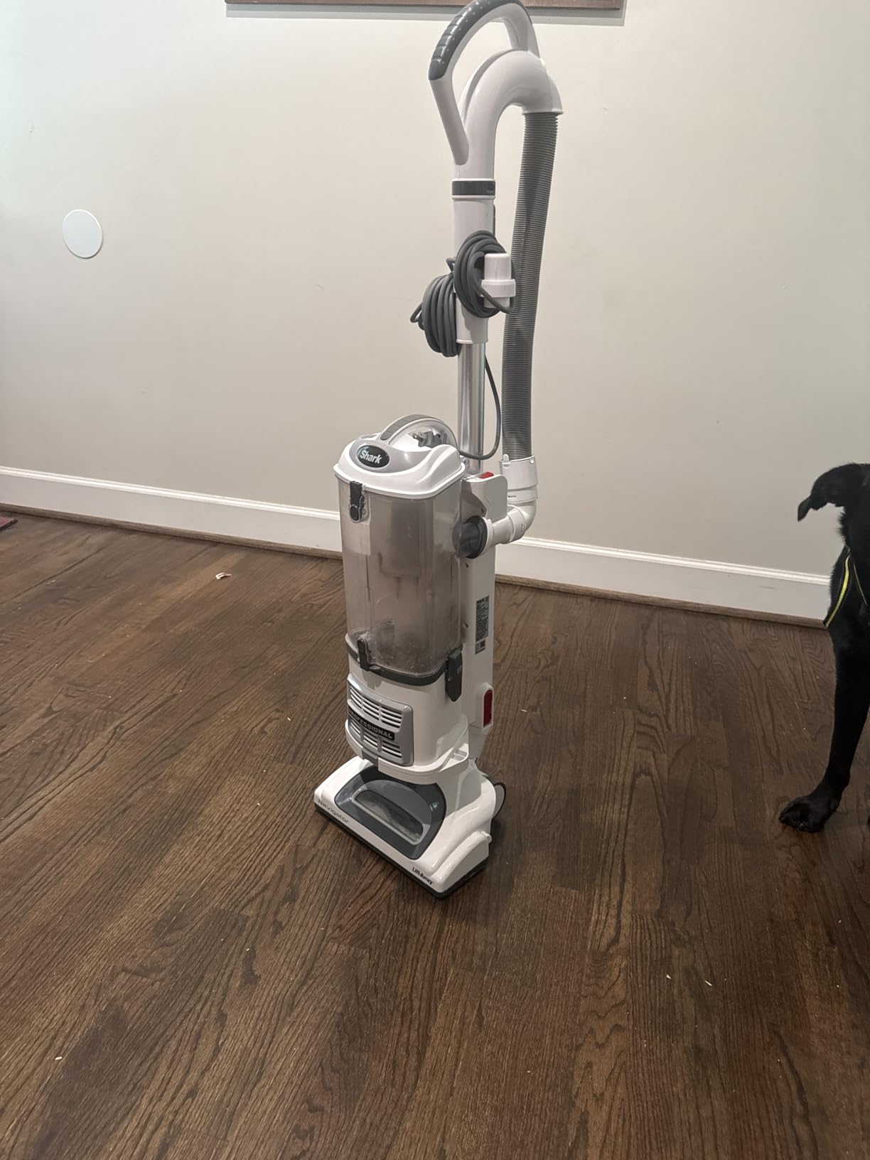 Shark Navigator Lift-Away Vacuum, HEPA, Pet Hair, White/Silver, NV356E | Carpet and Hard Floor Cleaning, Swivel Steering, Brushroll Shutoff, 0.87L Dust Cup, Dusting Brush and 8-in Crevice Tool customer photo 1