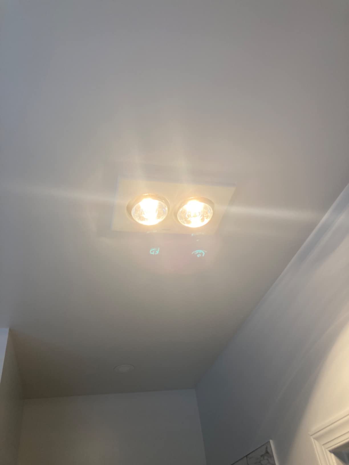 Philips BR40 Heat Lamp Light Bulb: 250-Watt, Infrared, E26 Medium Screw Base customer photo 2