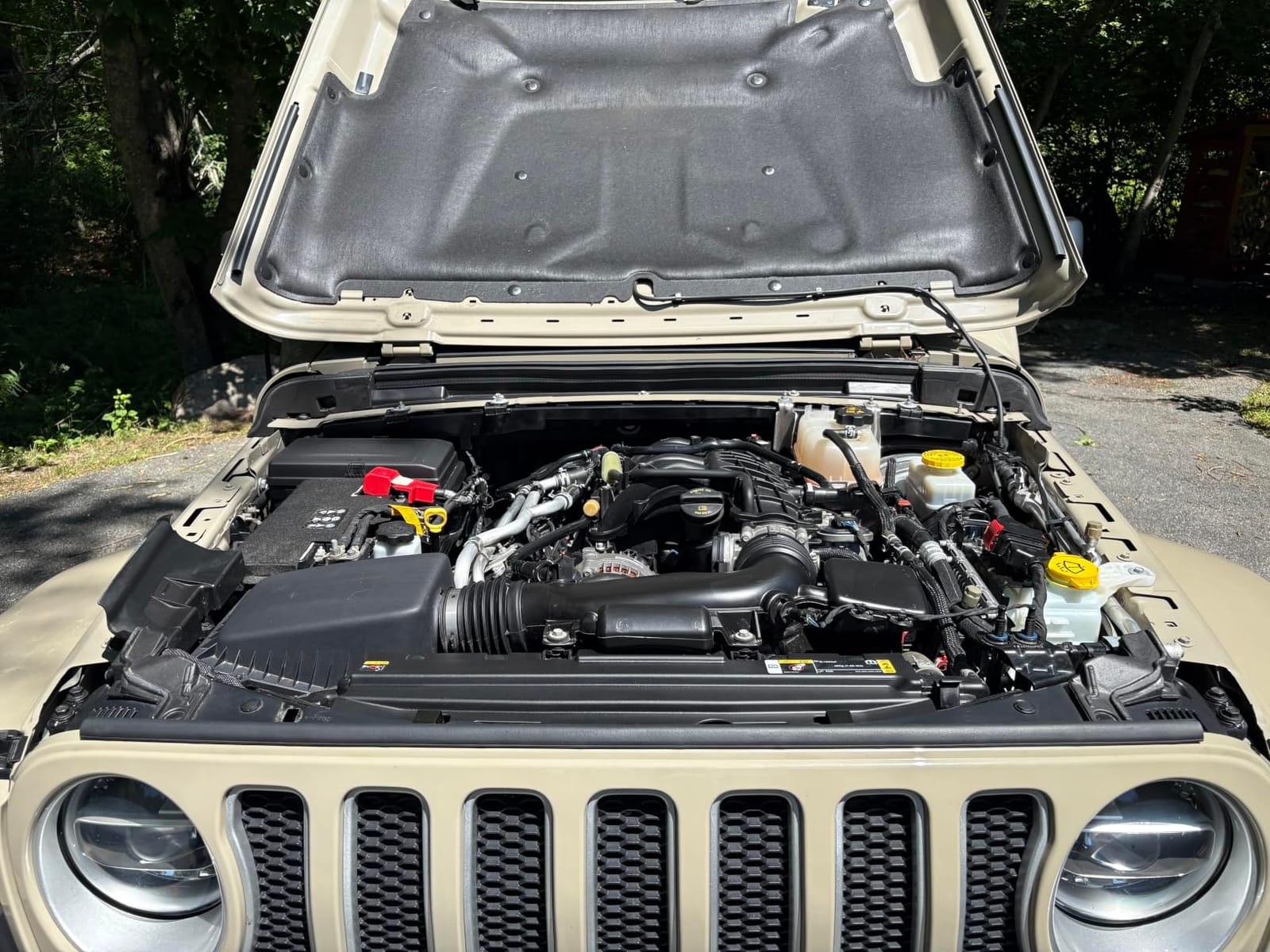 Chemical Guys, Nonsense Odorless All-Purpose Cleaner, Interior & Out, 16 oz | Colorless, odorless foaming cleaner lifts dirt from carpet, vinyl, plastic and engine bays, leaving no residue customer photo 2