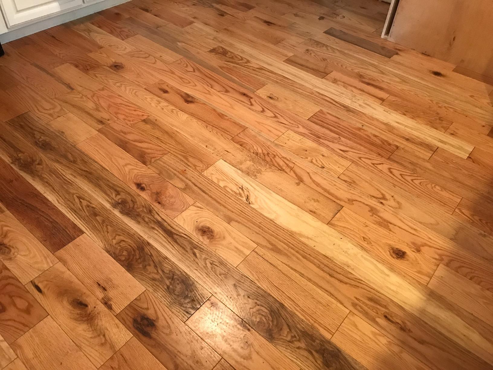 Hoover FloorMate Deluxe Hard Floor Cleaner Machine, Wash and Dry Mode customer photo 2