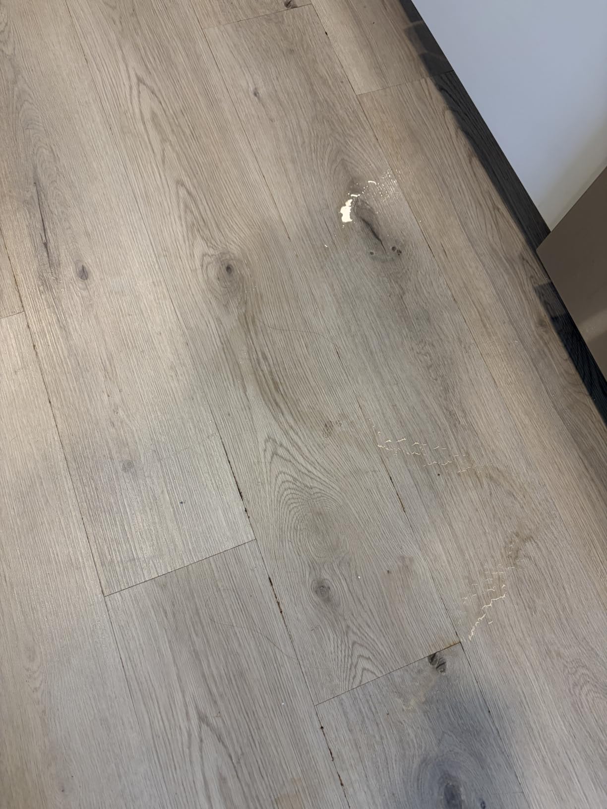 method Hardwood Floor Cleaner, Squirt + Mop Design, Almond, 25 fl oz | One Stop Clean, No Rinsing Required, Nozzle Spray Covers Floor in Fewer Sweeps, For Sealed Hardwood and Laminate Floors customer photo 2