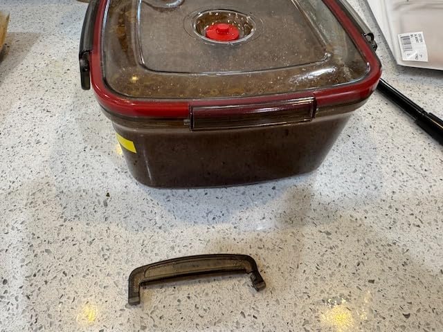 Jim Beam Vacuum Seal Marinade Box, Air Sealed Pump, Removes air from the Marinade Box, Speedy Marination Process, Barbecue and Grilling Marinator, Perfect Marination of Beef, Chicken and Fish customer photo 2