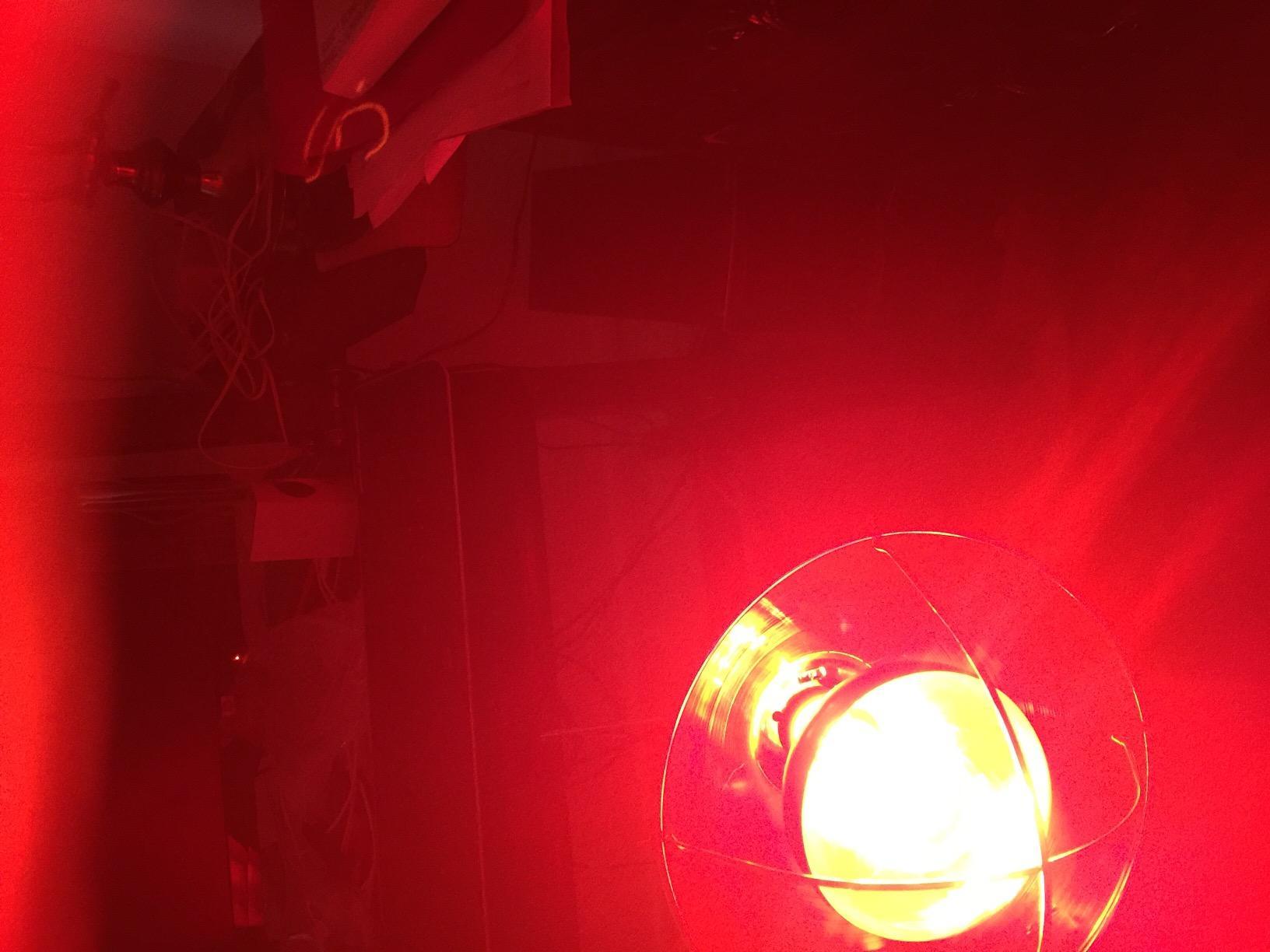 RubyLux NIR-A Near Infrared Bulb Grade A - 250W Red 1 Count customer photo 2