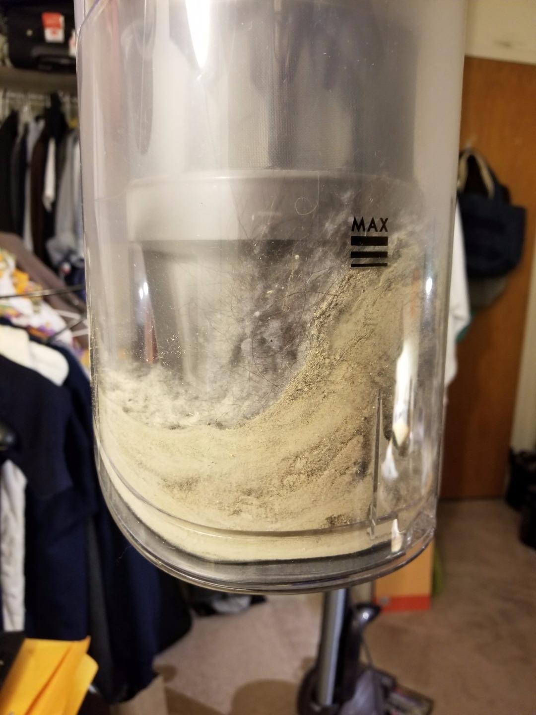 Dyson Ball Allergy Upright Vacuum customer photo 2
