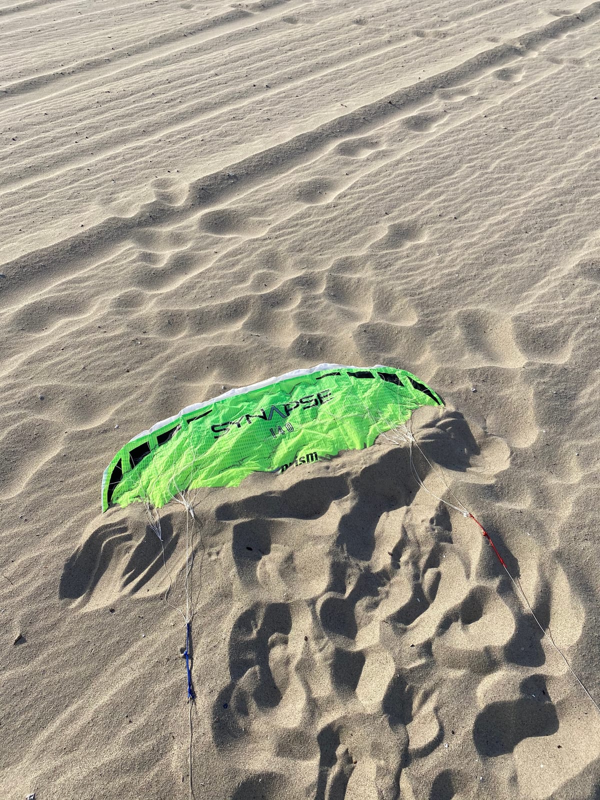Prism Kite Technology Synapse 140 Dual-line Parafoil Kite - an Ideal Entry Level Kite for Kids and Adults to Dual-line Kiting, Cilantro customer photo 1