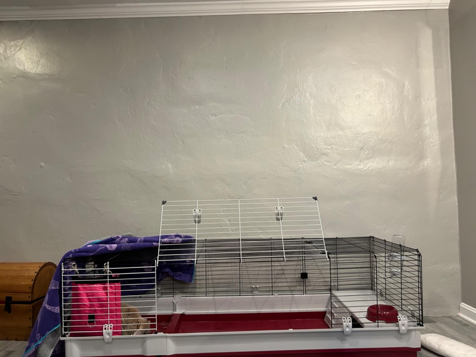 Ferplast Krolik XXL Rabbit Cage w/Wire Extension | Rabbit Cage Includes All Accessories & Measures 63.8L x 23.62W x 19.68H Inches | 1-Year Warranty customer photo 2