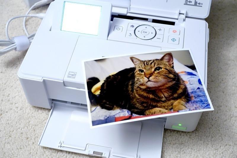 PictureMate PM-400 Wireless Compact Color Photo Printer, white customer photo 1