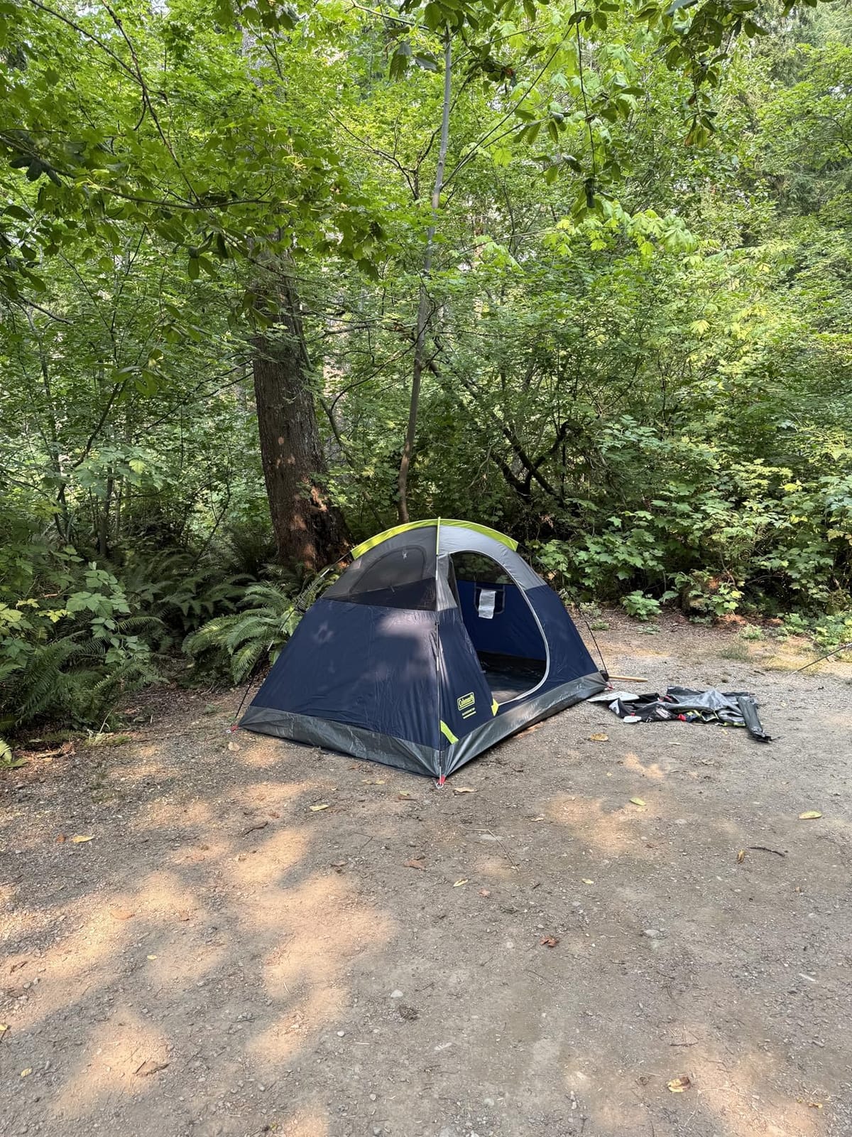Coleman Sundome Camping Tent with Rainfly, 2/3/4/6 Person Tent Sets Up in 10 Mins, Weatherproof Shelter for Camping, Festivals, Backyard, Sleepovers, & More customer photo 2