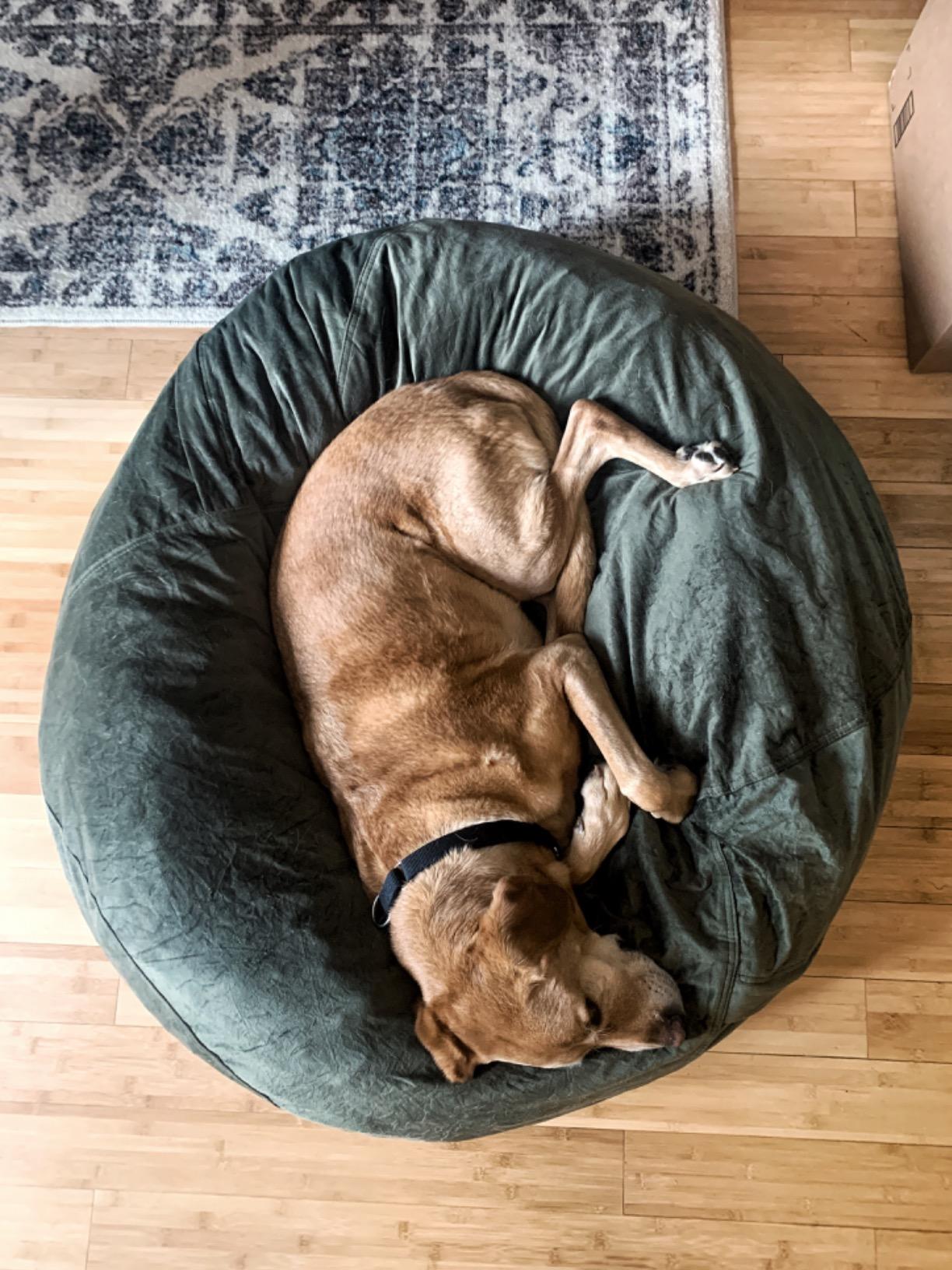 Bean Bag Chair - Plush, Ultra Soft - Memory Foam Bean Bag Chair with Microsuede Cover - Stuffed Foam Filled Furniture and Accessories for Dorm Room 3 Feet - Olive customer photo 2