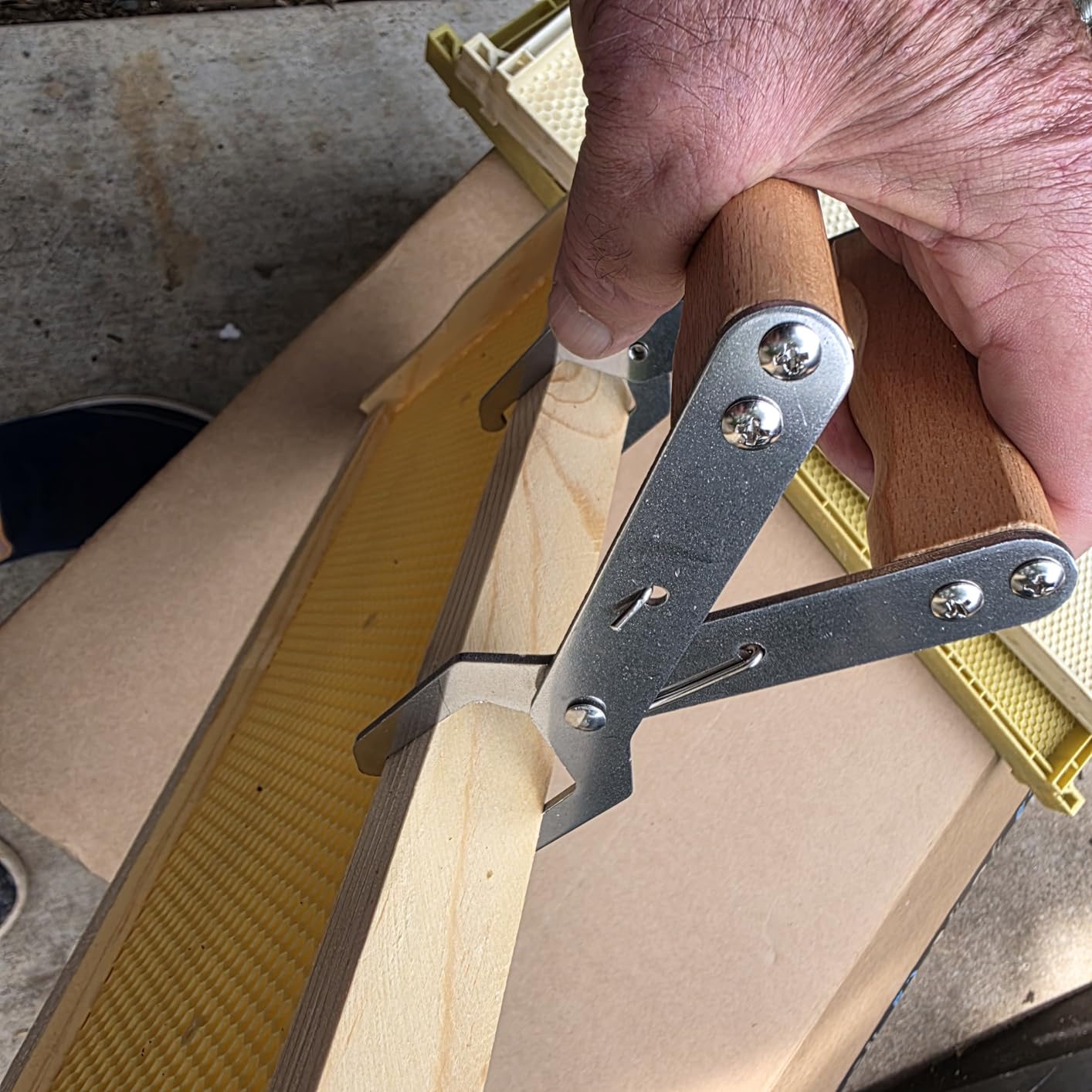 WEICHUAN Stainless Steel Beekeeping Frame Grip | Bee Hive Frame Gripper, Holder and Lifter Tool with Wooden Handle for Beekeeeper customer photo 2