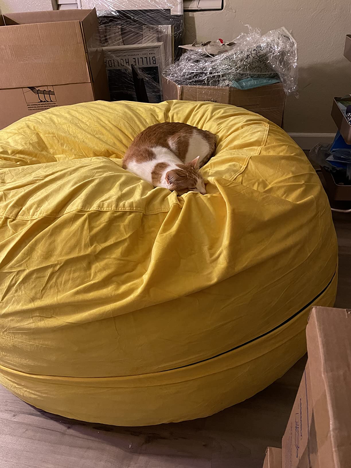 Bean Bag Chair: Giant 5' Memory Foam Furniture Bean Bag - Big Sofa with Soft Micro Fiber Cover - Grey Furry customer photo 1