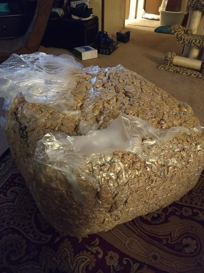 Bean Bag Chair: Giant 5' Memory Foam Furniture Bean Bag - Big Sofa with Soft Micro Fiber Cover - Grey Furry customer photo 2