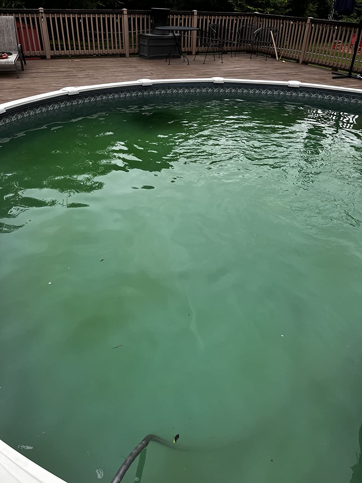 Dolphin (2026 Model) Nautilus AG Automatic Robotic Pool Vacuum Cleaner, Active Scrubber Brush, Top Load Filters Access, Ideal for Above-Ground Pools up to 33 FT in Length customer photo 2