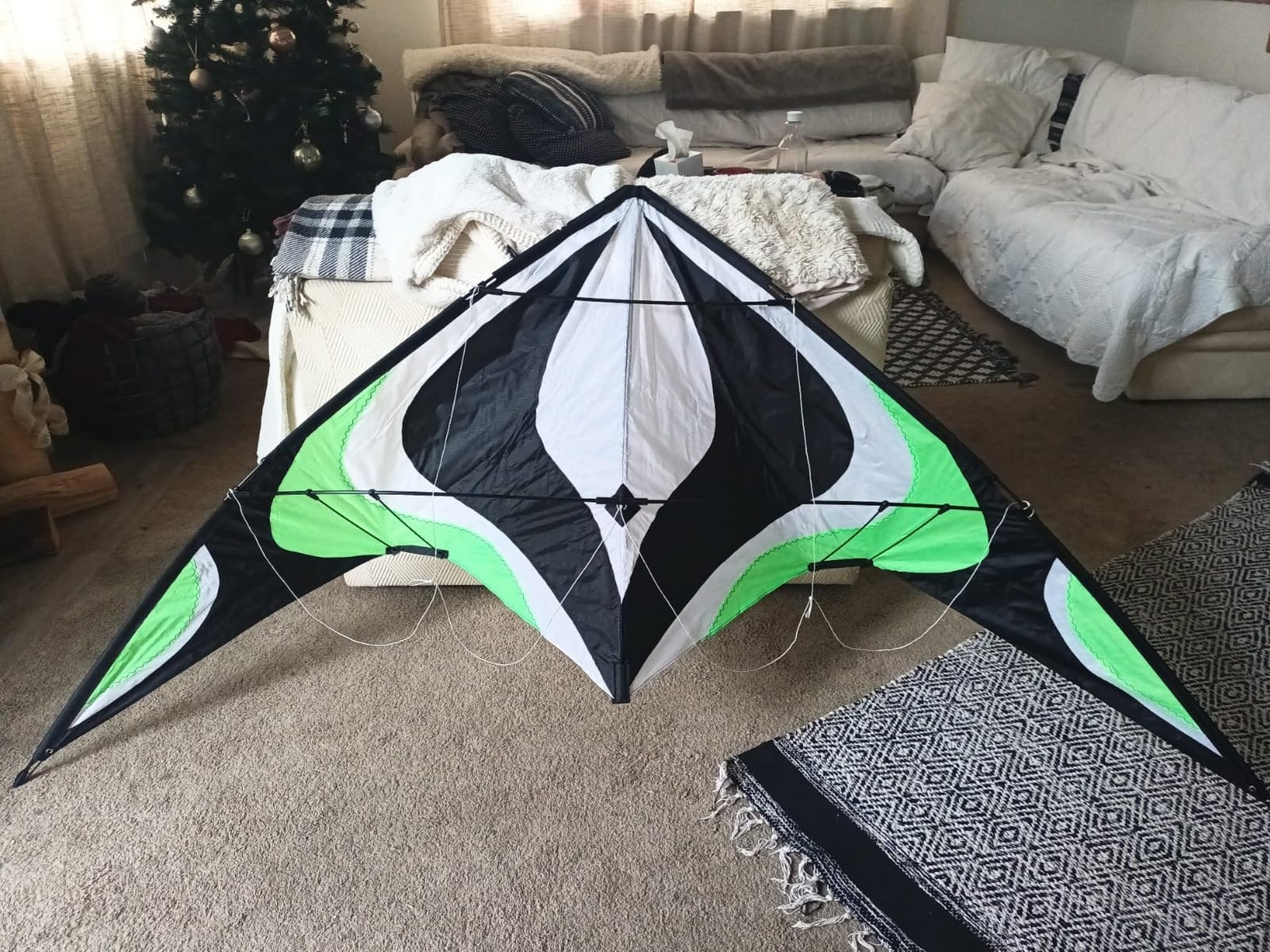 Babyeden Large Dual Line Stunt Kite, 84 Inch Wide Entry-Level Sport Kite for Adults and Teenagers customer photo 1