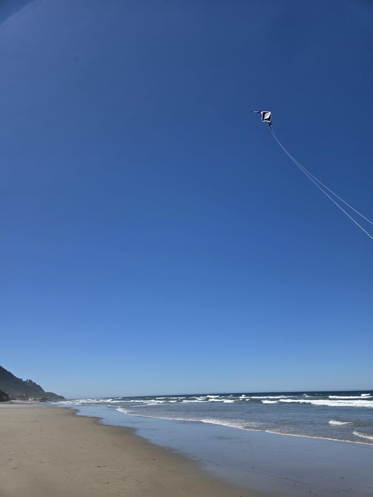 Babyeden Large Dual Line Stunt Kite, 84 Inch Wide Entry-Level Sport Kite for Adults and Teenagers customer photo 2
