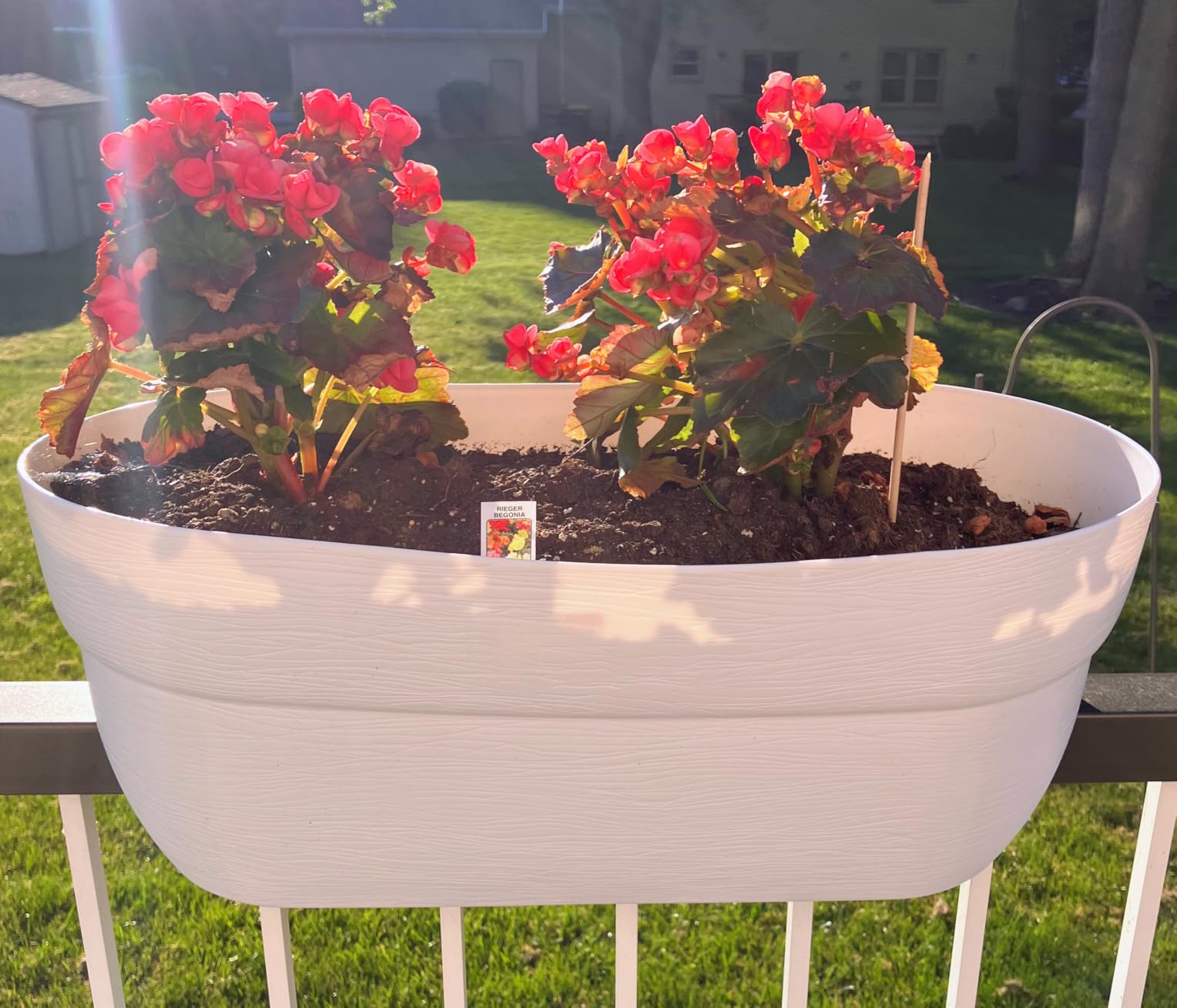 Bloomers Railing Planter with Drainage Holes - 24