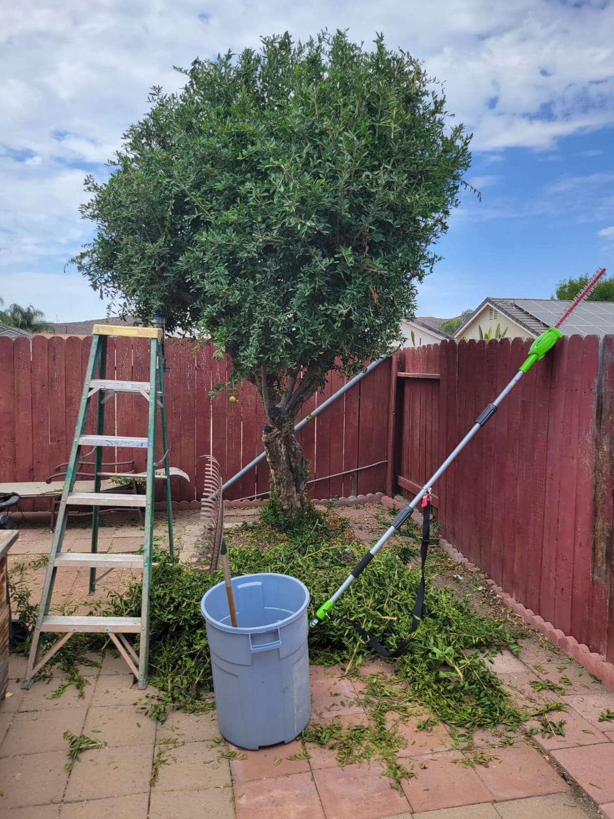 Greenworks 40V 8-inch Cordless Pole Saw with Hedge Trimmer Attachment 2.0Ah Battery and Charger Included customer photo 1