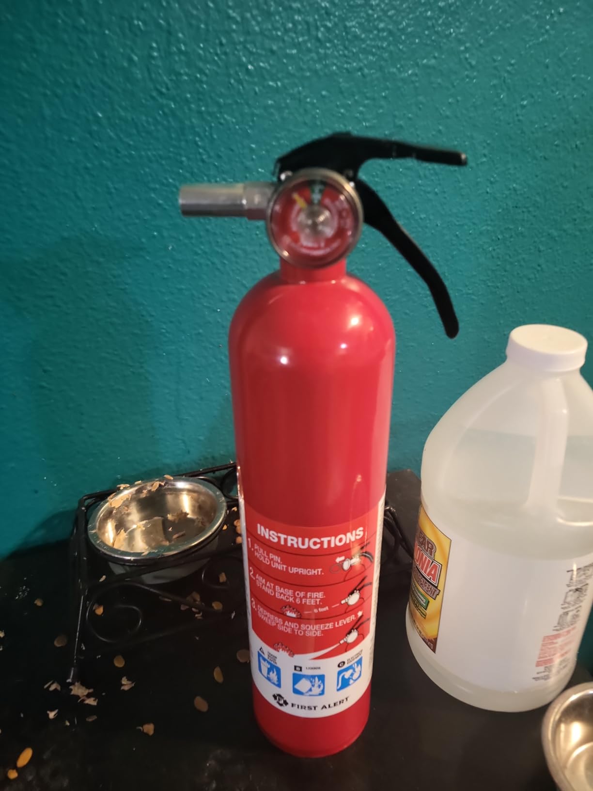 First Alert Fire Extinguisher, Standard Home Use | HOME1, UL RATED 1-A:10-B:C, Red 1-Pack customer photo 1