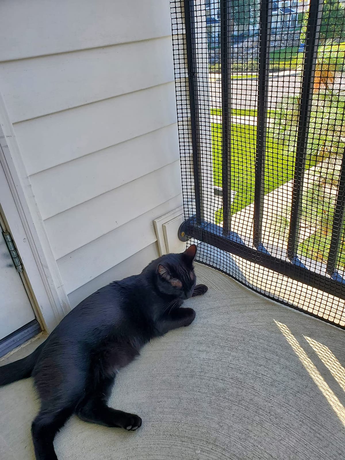 Kidkusion Heavy Duty Deck Guard, Black - 16' L x 3' H | Made in USA; Indoor/Outdoor Balcony and Stairway Deck Rail Safety Net; Child Safety; Pet Safety; Toy Safety customer photo 1
