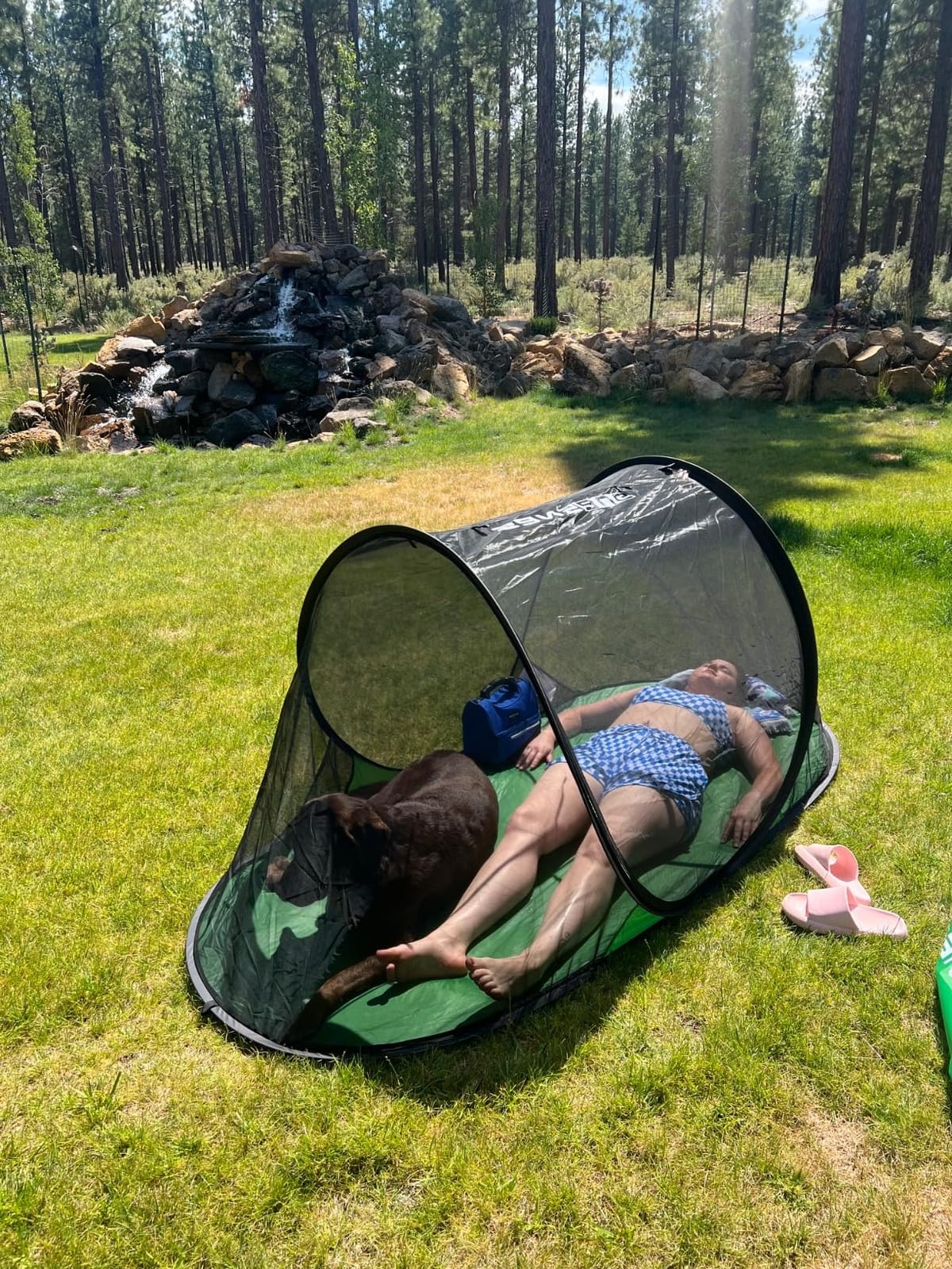 SANSBUG Mosquito Tent (Instant Pop up, Strong Mesh, Quiet Poly Floor) | 1 second set up, fully enclosed, premium no-see-um netting blocks the tiniest insects and bugs customer photo 1