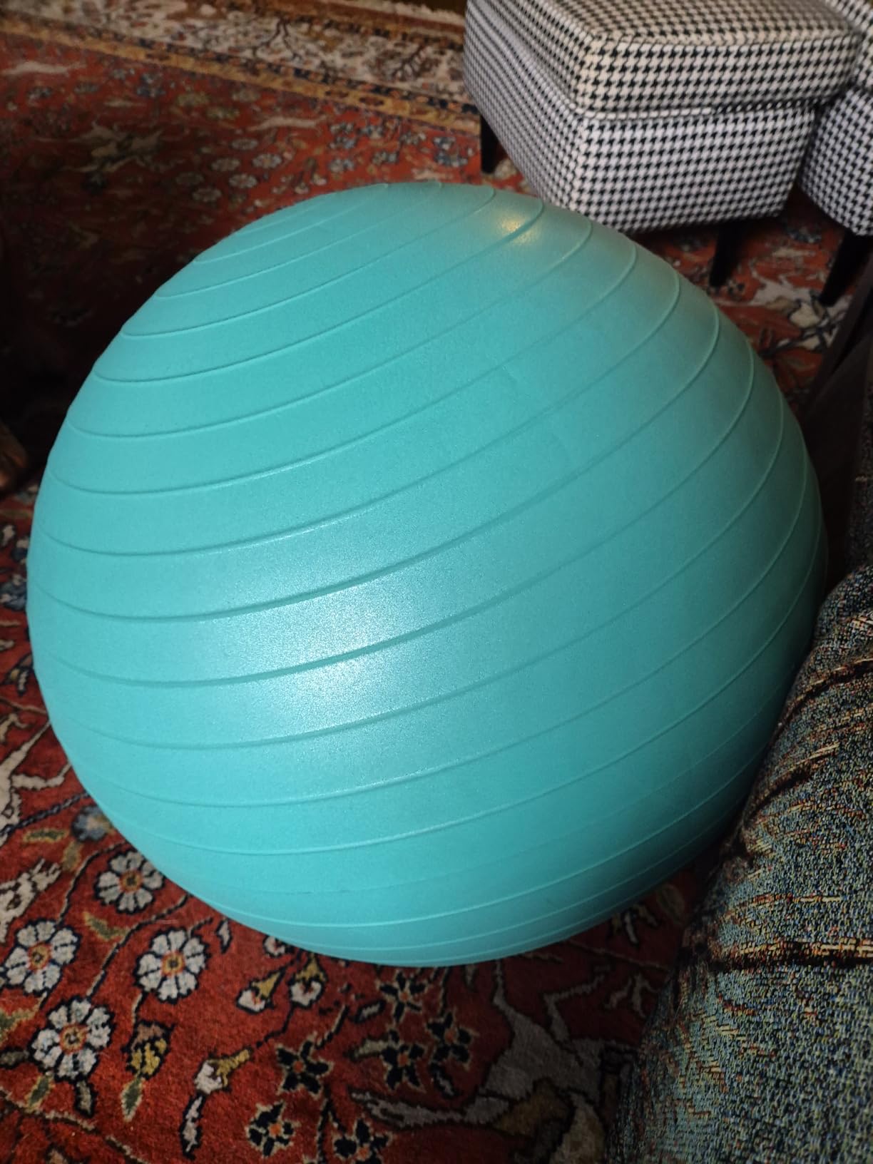 The Birth Ball - Birthing Ball for Pregnancy & Labor - 18 Page Pregnancy Ball Exercises Guide by Trimester - Non Slip Socks - How to Dilate, Induce, & Reposition Baby for Mom customer photo 2