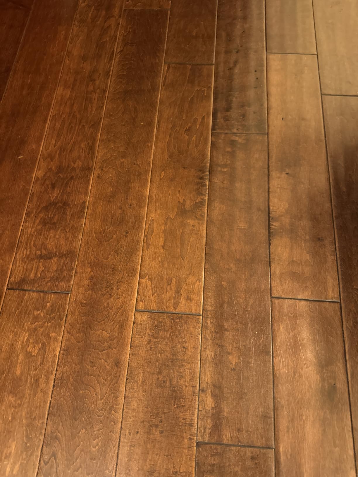 Bona PowerPlus Hardwood Floor Deep Cleaner Refill - 128 fl oz - Refill for Bona Spray Mops and Spray Bottles - Residue-Free Floor Cleaning Solution for Wood Floors customer photo 1