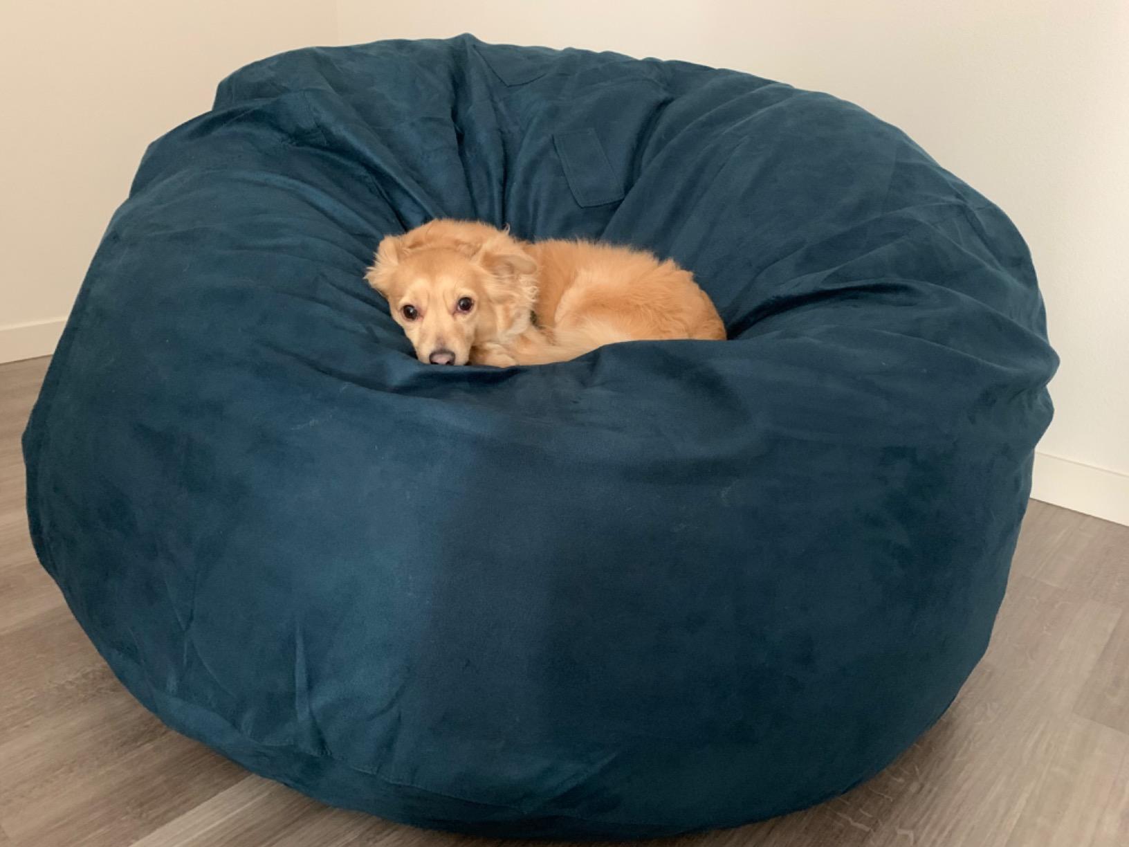 Luxurious Giant 7ft Bean Bag Chair with Microsuede Cover - Ultra Soft, Foam Filling, Washable XXL Sofa for Kids, Teenagers, Adults Sack Dorm, Family Room Dark Grey customer photo 1