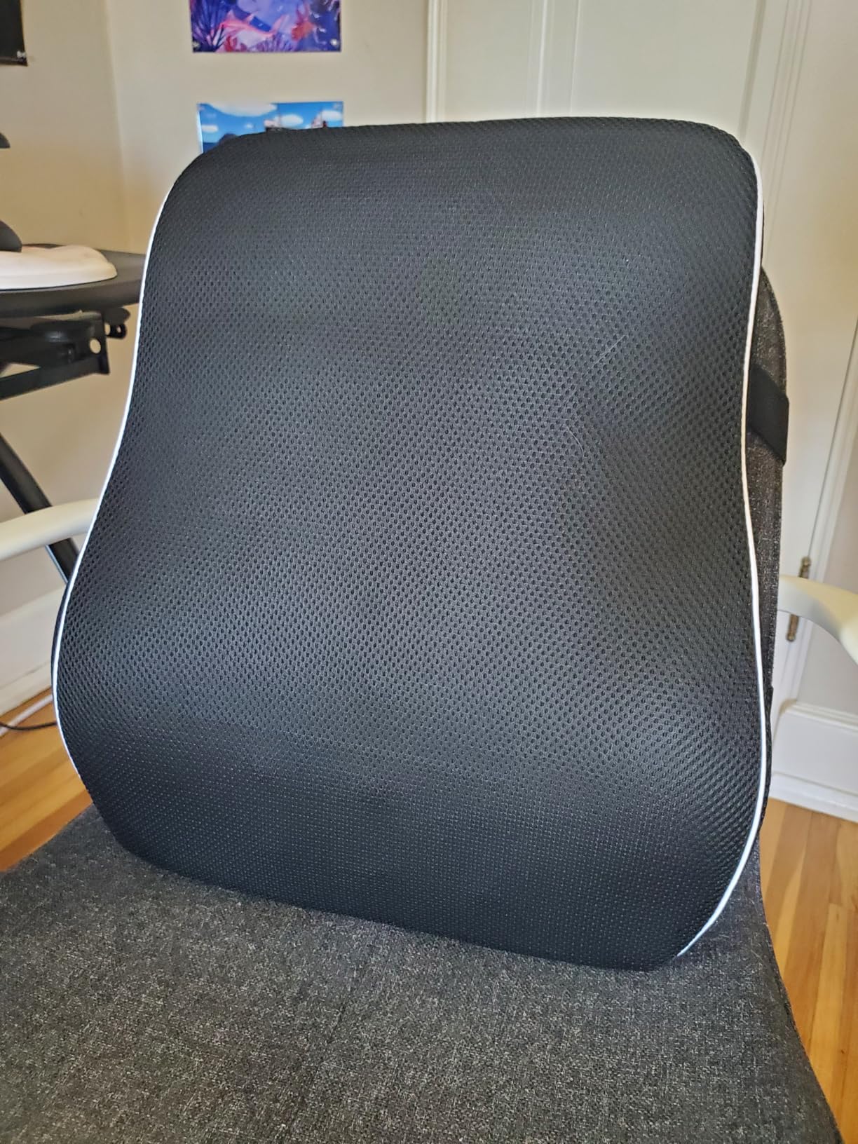 Lumbar Support Pillow for Office Chair, Office Home Essentials,Gifts for Mom,Dad, Back Support Pillow for Car, Chair Cushions,Back Pain Relief Improve Posture,Mesh Cover Double Adjustable Straps customer photo 2