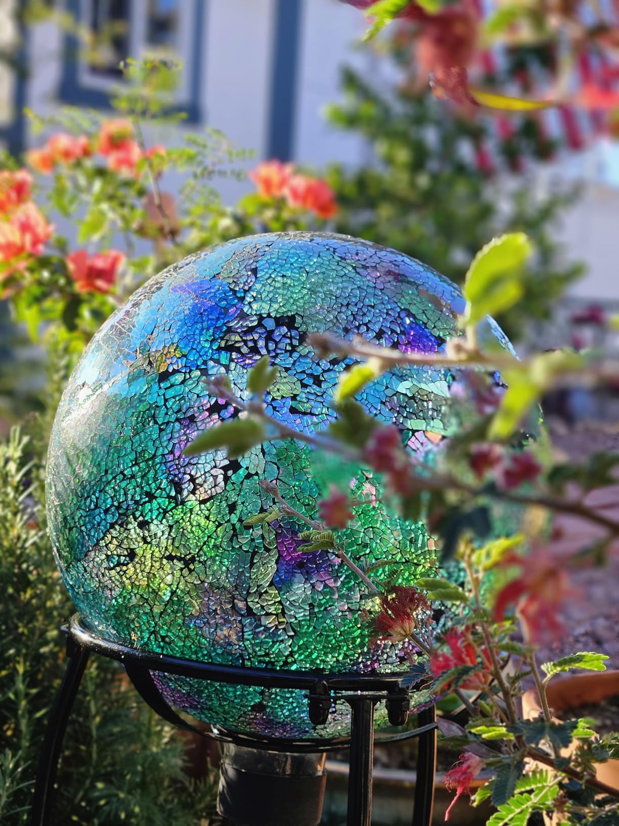 Glass Outdoor Gazing Globe, 10
