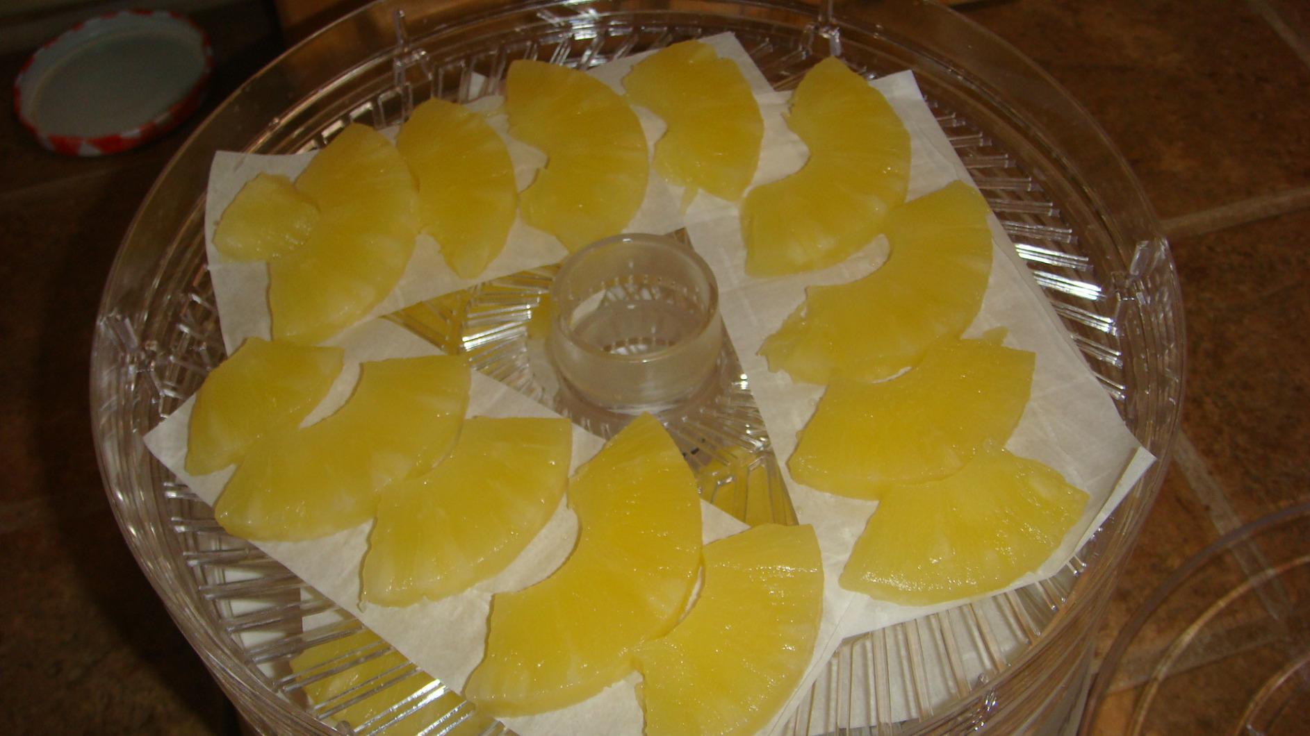 Commercial Chef Food Dehydrator, Five 9.25 Inch BPA-Free Trays, CCD100W6, White customer photo 1