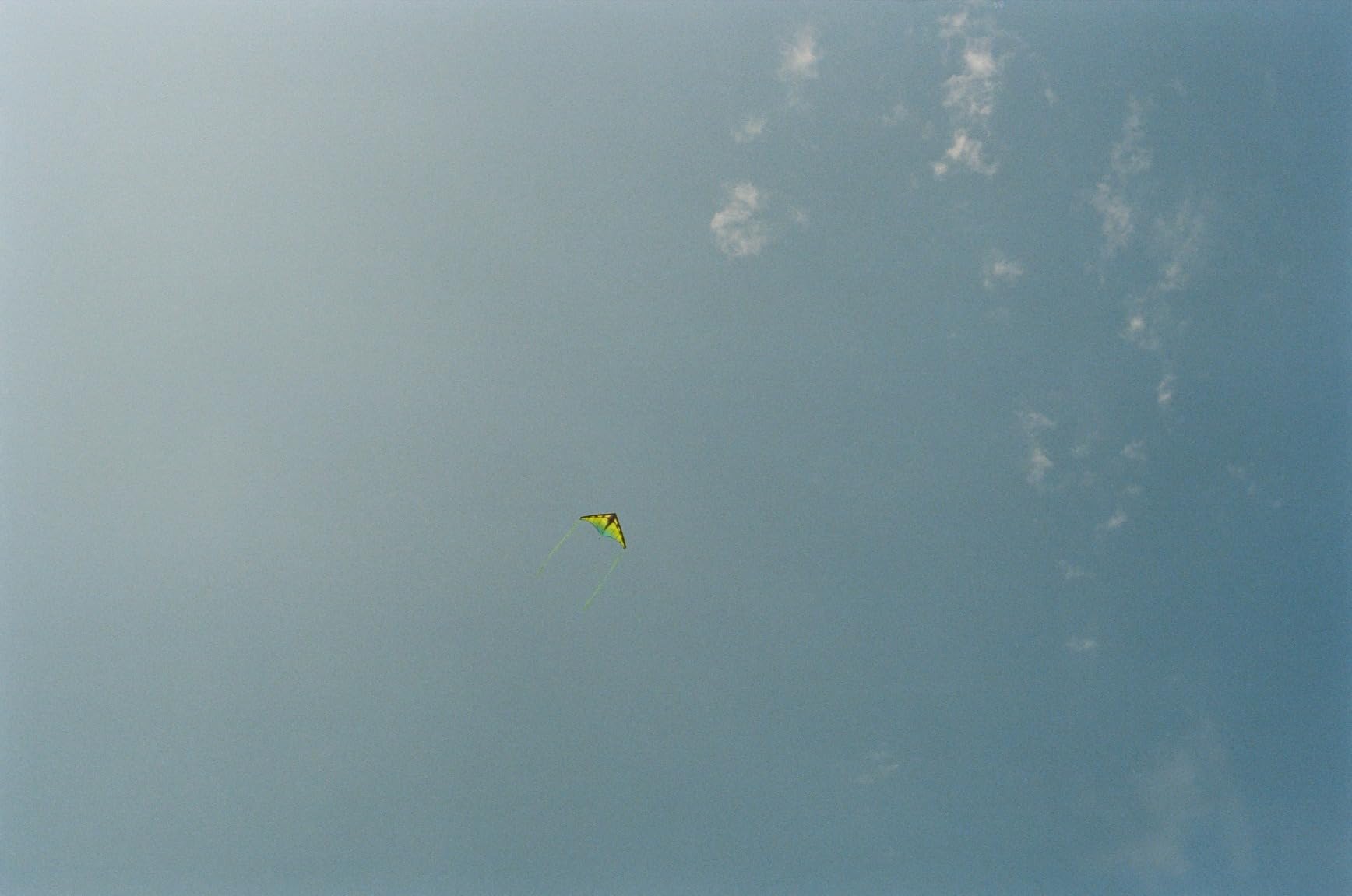 Prism Kite Technology Zenith 5 Single Line Delta Kite customer photo 1