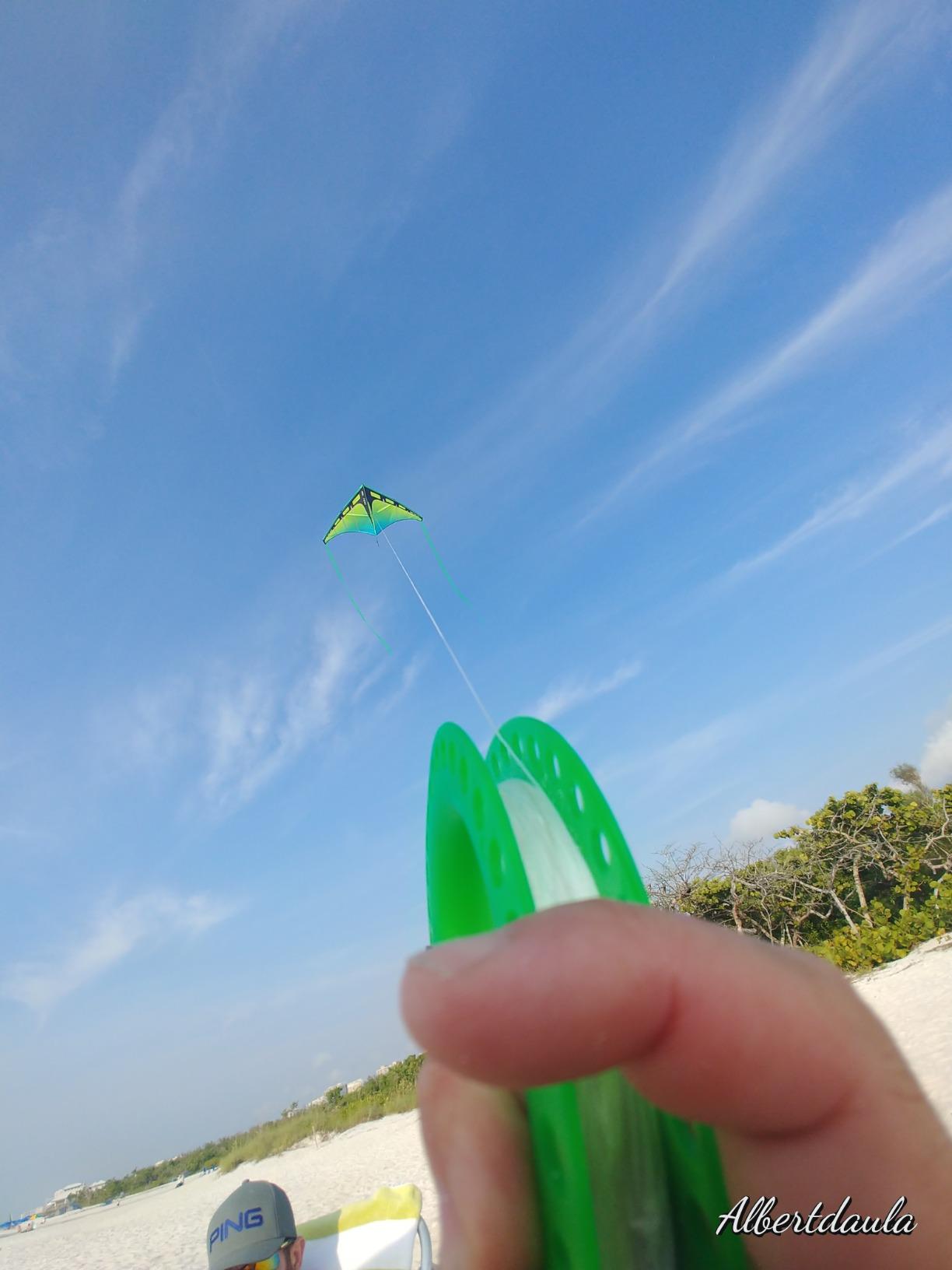 Prism Kite Technology Zenith 5 Single Line Delta Kite customer photo 2