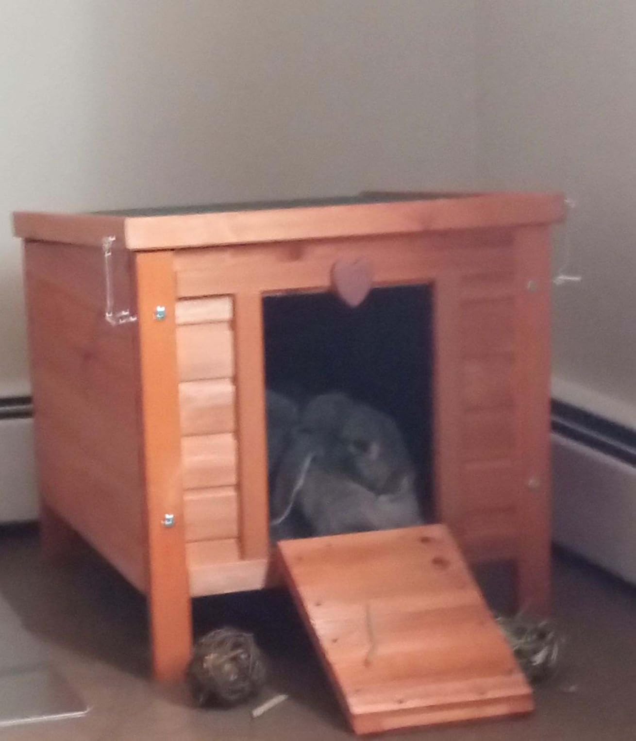 TRIXIE natura Small Animal House - Outdoor/Indoor Rabbit Hideout with Hinged Roof & Raised Floor - Solid Wood House with 2 Entry Ramps, Weather-Resistant Home for Bunnies & Guinea Pigs - in Gray customer photo 1