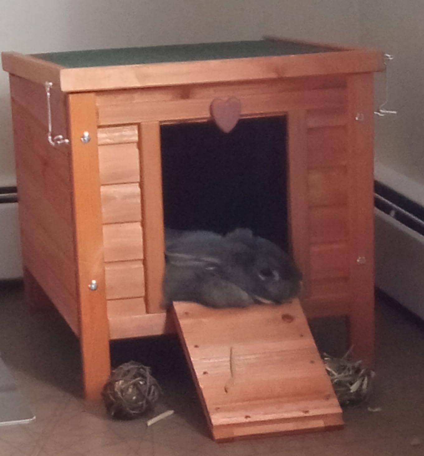 TRIXIE natura Small Animal House - Outdoor/Indoor Rabbit Hideout with Hinged Roof & Raised Floor - Solid Wood House with 2 Entry Ramps, Weather-Resistant Home for Bunnies & Guinea Pigs - in Gray customer photo 2